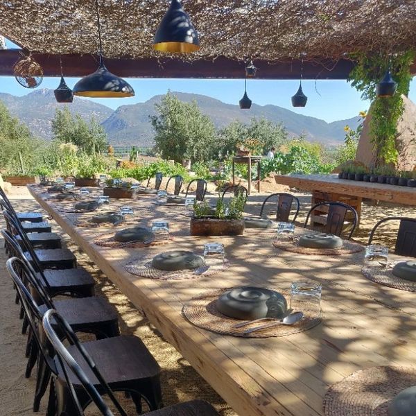 Fauna, Valle de Guadalupe, Mexico