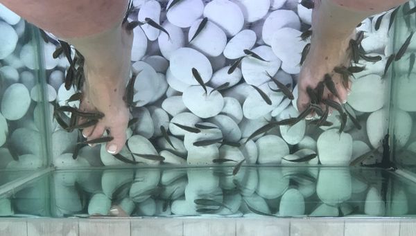 Kissingfish pedicures, Oia, Santorini