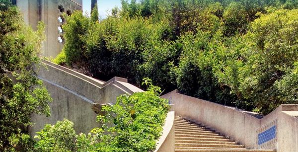 Wrigley Memorial and Botanical Gardens, Avalon, Catalina