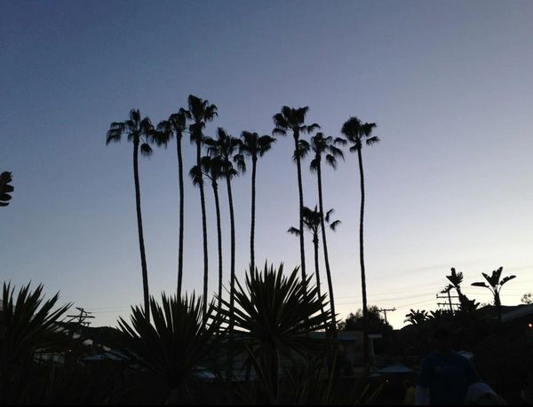 The Pavilion Hotel, Avalon, Catalina