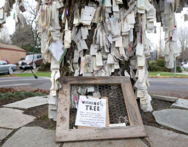 The Wishing Tree, Portland