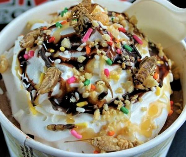 Freakybuttrue Peculiarium, Scorpion Sundae, Portland