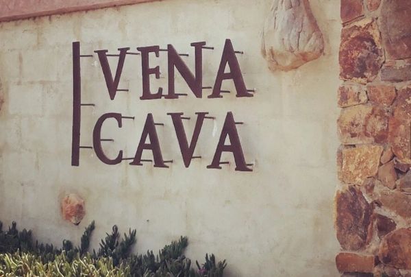 Vena Cava, Valle de Guadalupe, Mexico