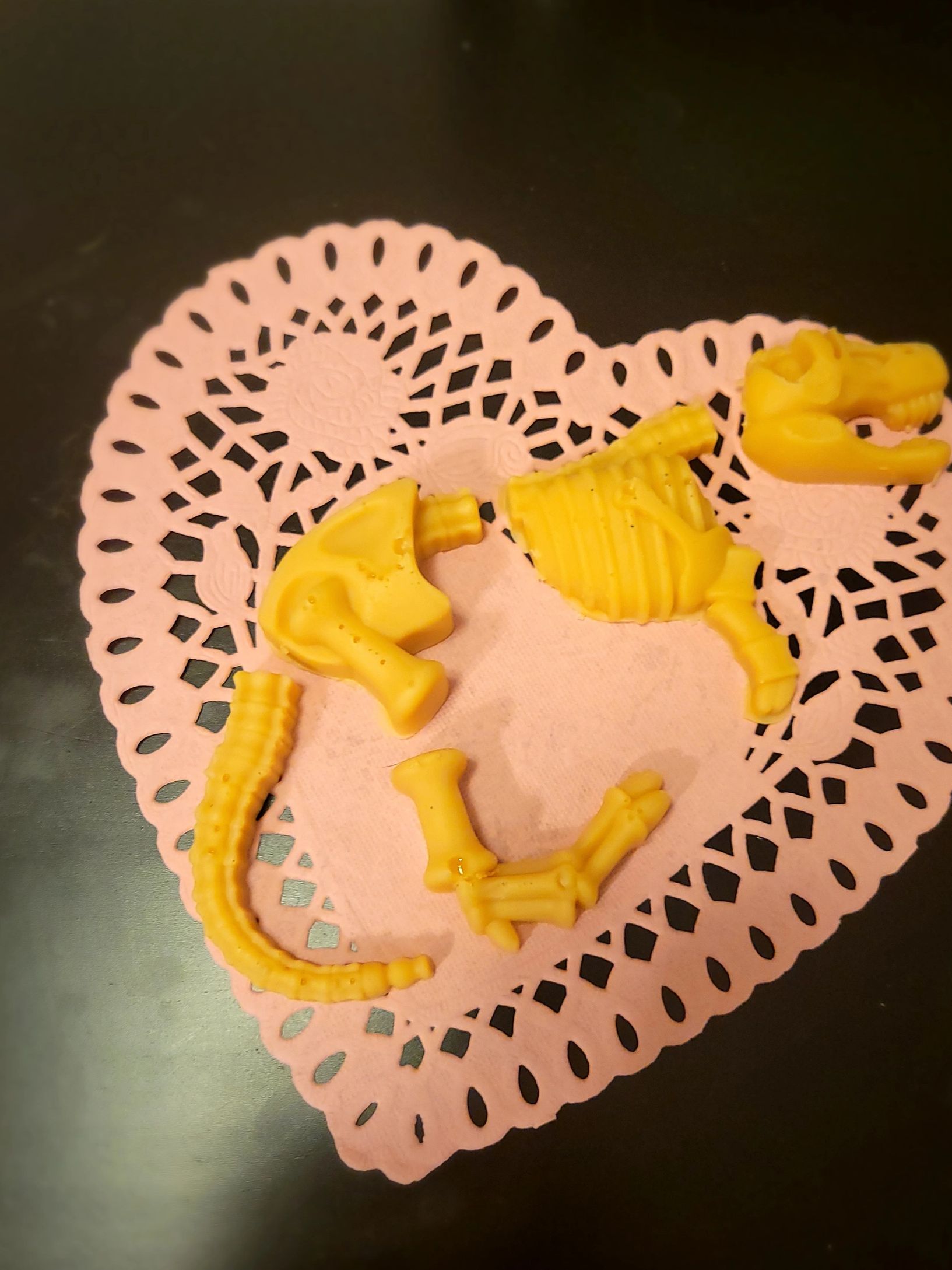 Dinosaur fossil