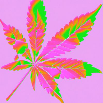 kushbymail.com multi colored marijuana leaf