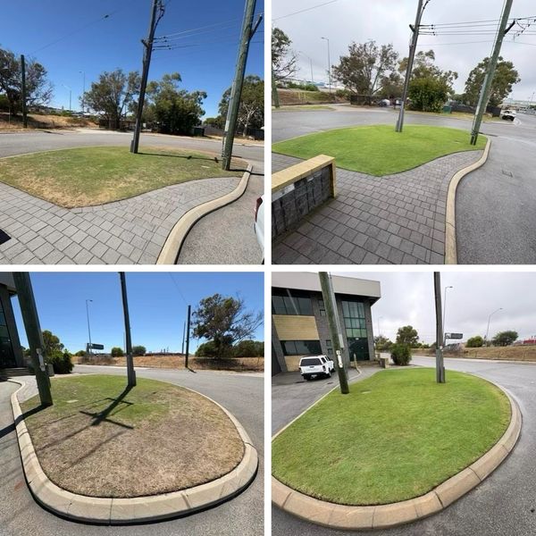 Before and after images of a grass patch restoration.