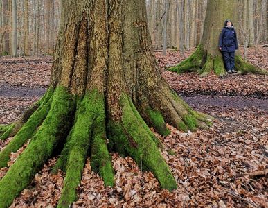 Adam und Eva Lauerholz, Waldbaden Lübeck mit Ärztin Claudia Schröder, Shinrin yoku, im Wald atmen