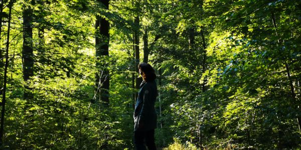 Im Wald atmen - Kursleiterin Claudia Schröder beim Waldbaden, im Wald atmen