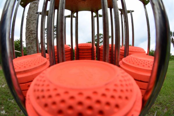 Sporting Clays Paisley