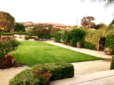 Lawn and grapevine pergola