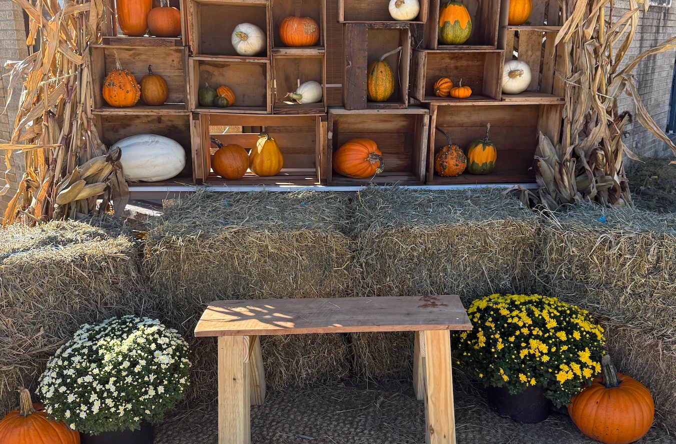 Autumn display with pumpkins, flowers, hay bales, and wooden bench.