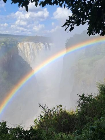 A vibrant rainbow over a misty waterfall surrounded by greenery.