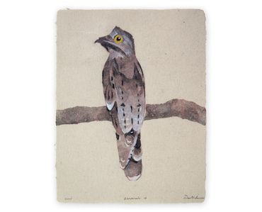 Don Widmer, Bienparado, common potoo, Cuchavira, pulp painting of bird, handmade paper