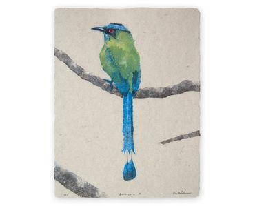 Don Widmer, Barranquero, Amazonian motmot, Cuchavira series, pulp painting of bird, handmade paper
