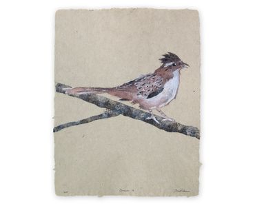Don Widmer, Crespin, striped cuckoo, Cuchavira series, pulp painting of bird, handmade paper