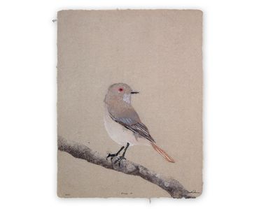 Don Widmer, Diucón, fire-eyed diucon, Cuchavira, pulp painting of bird, handmade paper