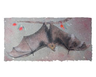 Don Widmer paper bat art flying fox fruit bat pulp painting handmade paper hanging bat eucalyptus