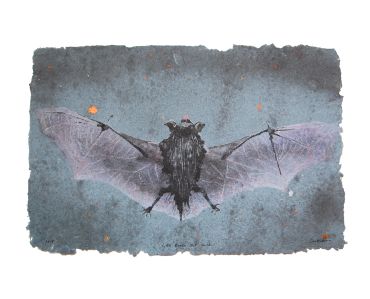 Don Widmer paper arts bat art little brown bat pulp painting handmade paper flying bat abaca cotton