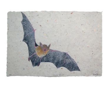 Don Widmer paper arts bat art southeastern bat pulp painting handmade paper flying bat abaca kozo