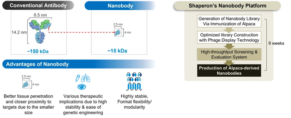 Shaperon/Hudson Nanobody Platform