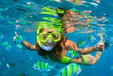 Snorkel with beautiful marine life in the Bahamas on a Royal Caribbean Cruise out of Galveston.