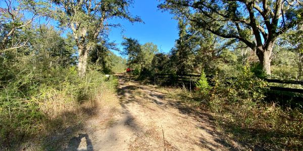 Diversified outdoor services land clearing land for sale entrance. forestry mulching underbrush