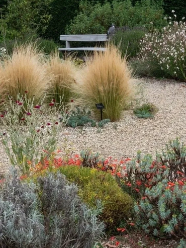 Dry garden design