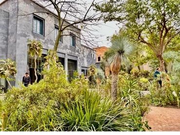 Evergreen dry garden Mediterranean cactus