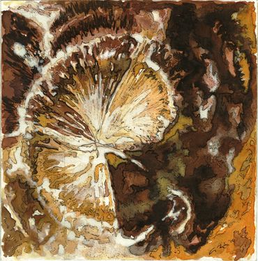Petrified Wood