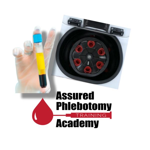 Phlebotomy training logo with blood sample and centrifuge.