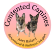 Contented Canines