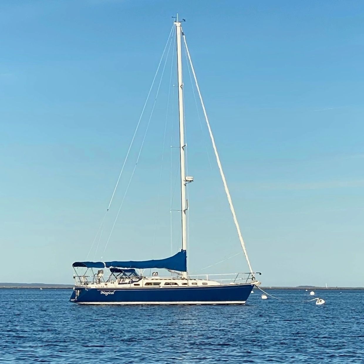 Blue and white sailboat named Magical on calm water under clear sky.