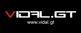 Vidal.GT