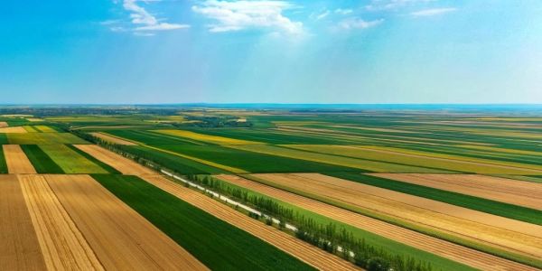 Vast agricultural fields under a bright blue sky with scattered clouds.