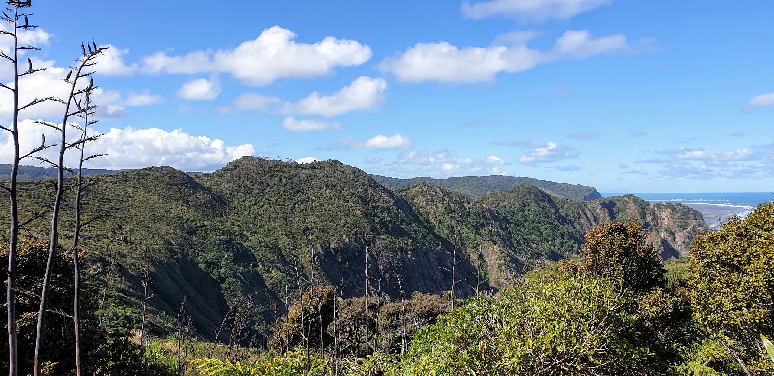 Kauri Dieback Research Centre