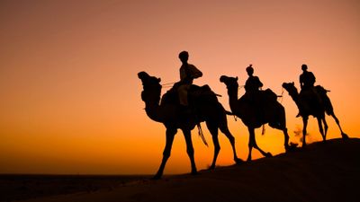 Camel ride in Jaisalmer, Rajasthan