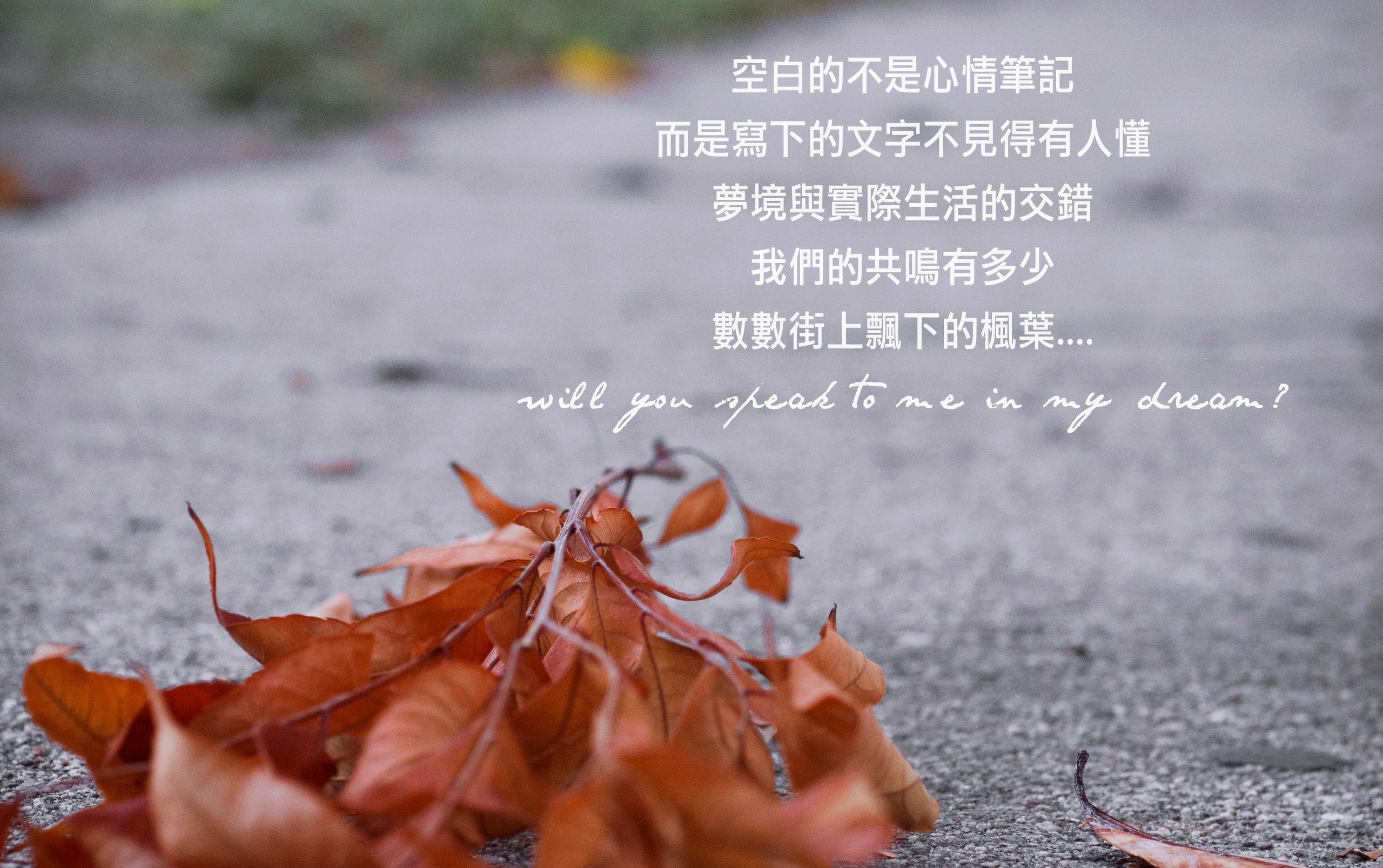 Photo and poem by Hedy Yudaw