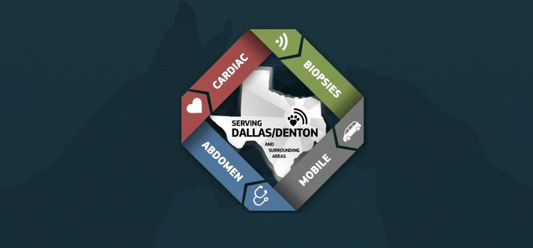 Mobile veterinary ultrasound dallas denton north texas cardiac abdomen biopsies echo