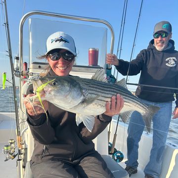 Woman proudly holds a large striped bass on a fishing boat.