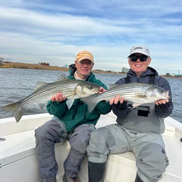 Two men proudly holding large striped bass on a boat.