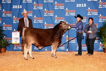 MAE MAGNUM PI Braunvieh bull purebred seedstock beef cattle Grand Champion semen sale