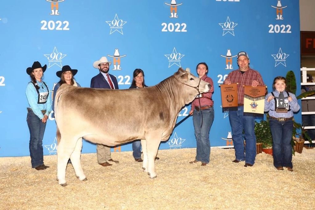 Braunvieh female Champion purebred show heifer 
By Magnum PI