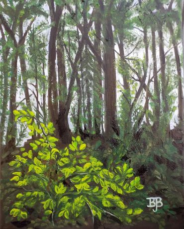 Oil, splash of sunlight on leaves in forest