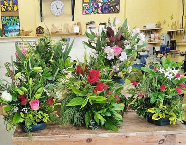 June 2023 collection.