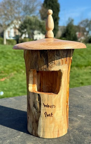 Shirley's wren nest box - April'25.