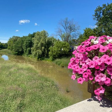 Beautiful village spaces in Drayton Ontario located within walking distance to Conestoga Crest