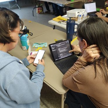 chickens workshop in progress