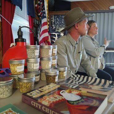 chickens workshop in progress