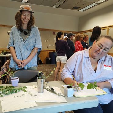 wellness herbs workshop in action