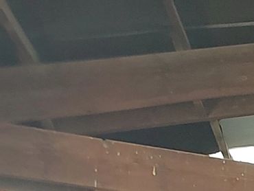 horse speak workshop in progress